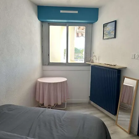 Appt 2 Pieces Climatise Port Camargue Pc070-020 Daire
